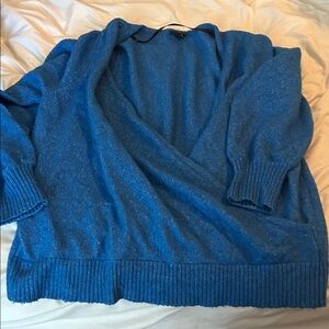 Torrid Cozy‎ Blue Sweater